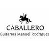 Icon Caballero