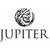 Icon Jupiter