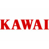 Icon Kawai