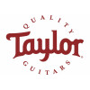 Icon Taylor