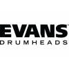 Icon Evans
