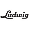 Icon Ludwig