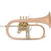 Lechgold FH-60GB Bb-Flicorno spazzolato