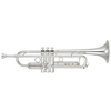 Yamaha YTR-8335RGS Bb-Trompete  - 1A Showroom Modell (Zustand: wie neu, in OVP)