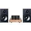 Bennett & Ross TA-70 Buizenlook Stereoset Champagne