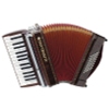 Alpenklang Pro Accordéon II 48 M Palissandre