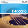 D'Addario EJ38 12-String Light