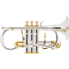 Lechgold ECR-23S Eb Cornet, Silver-Plated - Returned Item (Condition: Good)