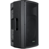 Pronomic E-215 MA 15" Actieve Box 250 Watt - Retour (Conditie: goed)