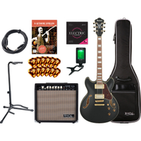 Ibanez AS73G-BKF Gitarre Black Flat Set