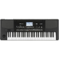 Korg Pa300 Keyboard