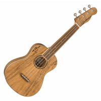 Fender Zuma Exotic Konzert Ukulele Natural Spalted Maple