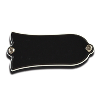 Gibson Truss Rod Cover Blank