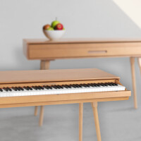 Classic Cantabile DP-730 OK Digitale piano eik