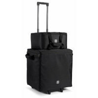 LD Systems Dave 10 G4X Bag Set