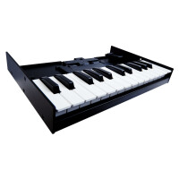 Roland K-25M Tastatur