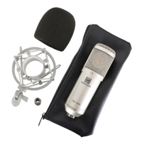Pronomic CM-100S Studio Großmembranmikrofon inkl. Spinne &amp; Windschutz Silber  - Retoure (Zustand: sehr gut)