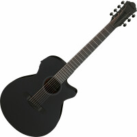 Ibanez AEG721-BOT Black Out