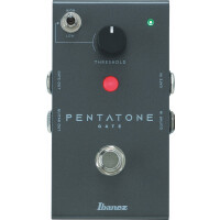 Ibanez Pentatone Noize Gate