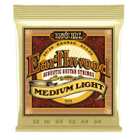 Ernie Ball 2003 Earthwood 80/20 Medium Light