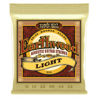 Ernie Ball 2004 Earthwood 80/20 Light