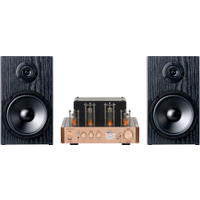 Bennett &amp; Ross TA-70 Buizenlook Stereoset Champagne