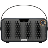 Hotone AP-20 Pulze Jr. Eclipse