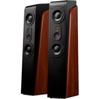 HiVi Swan D3.2 MKIII Standlautsprecher Paar  - Retoure (Zustand: gut)