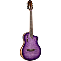 Ortega TourPlayer Special Edition