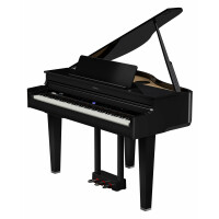 Roland GP-6 Digital Piano Schwarz Hochglanz - 1A Showroom Modell (Zustand: wie neu, in OVP)