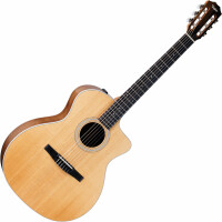 Taylor 214ce-N