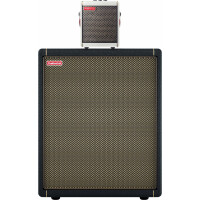 Positive Grid Spark MINI Pearl Cab Set