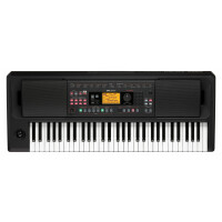 Korg EK-50 Limitless - 1A Showroom Modell (Zustand: wie neu, in OVP)