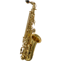 Elkhart 100AS Student Sassofono Alto in Eb Verniciato