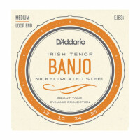 D'Addario EJ63i Irish Tenor Banjo