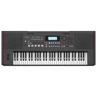 Roland E-X50 Arranger Keyboard