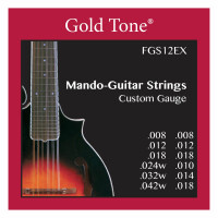 Gold Tone FGS-12EX Mando Guitar Saitensatz für F12