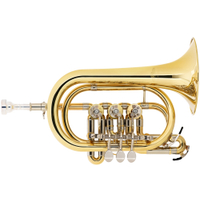 Lechgold BCR-26L Cornetto Bb A Valvole Rotanti