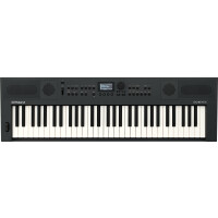 Roland Go:Keys 5 Graphite