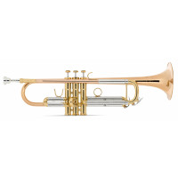 LECHGOLD TR-14G Trompette Bb