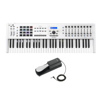 Arturia KeyLab mkII 61 Weiß Set