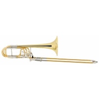 Lechgold BP-18L Trombone basso Ottone