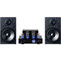 Bennett &amp; Ross TA-70 Buizen-Design Stereo-Installatie Black