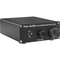 Fosi Audio M04 Amplificador Mono Para Subwoofer 100W