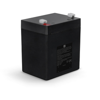 LD Systems ANNY 10 BATTERY V2