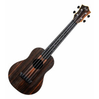 Flight TUC55 Amara Travel Konzert Ukulele