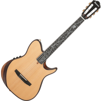 Ibanez TOD100N-NT Tim Henson Signature Natural