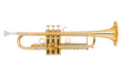 Trompeta Bb Kühm & Hoyer "Topline" Latón Dorado