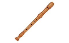 Moeck 4204 Rottenburgh Sopran Barock Buchs