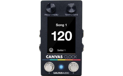 Walrus Audio Canvas Clock